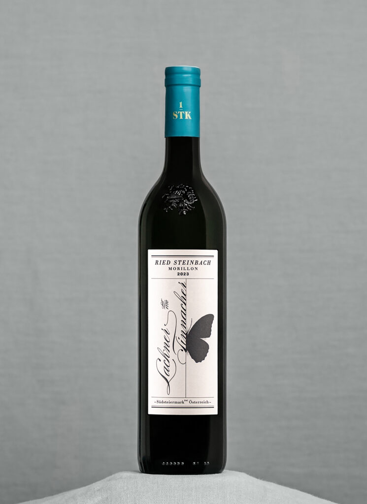ELEGANTE TIEFE. Der Ried STEINBACH Morillon 2023 (Chardonnay) begeistert mit eleganter Struktur und feiner Mineralität.