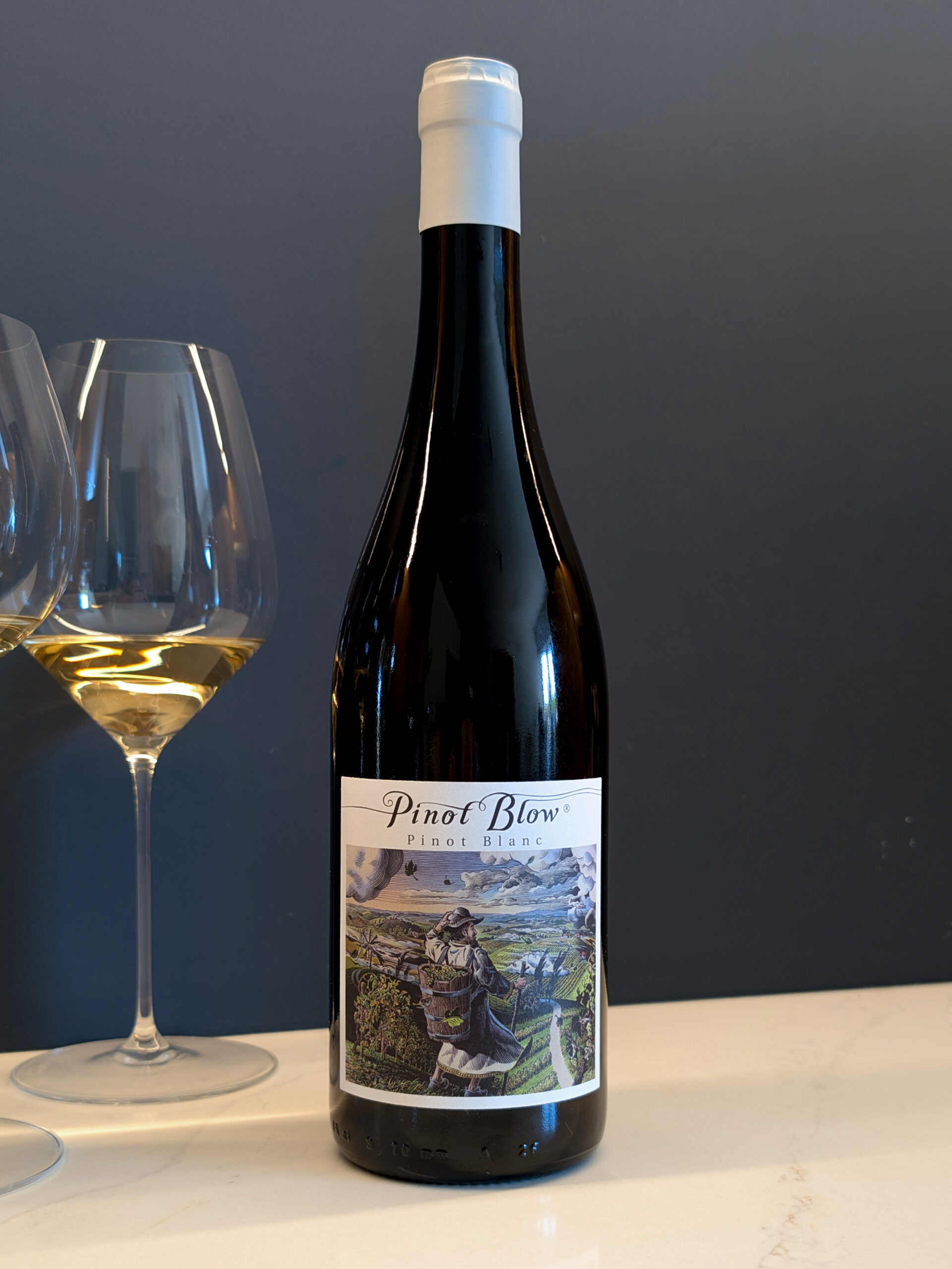 Pinot Blow 2024 – Bild 2